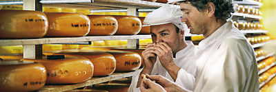 Zwei Käser kontrollieren die Käsereifung